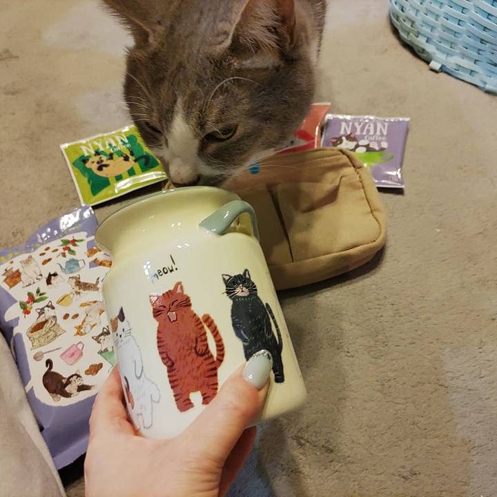 94bc8894 b09e 4990 8461 432de84f242e 1675516092204