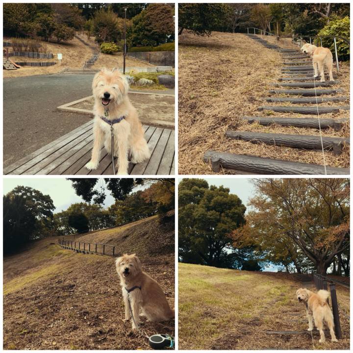 94bcb115 b9ea 4084 b83c 80d12fdac847 1540614569883