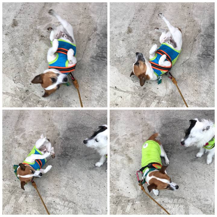 94bcfb9c 6280 4ddc b4f0 6c0110b2689d 1525768524222