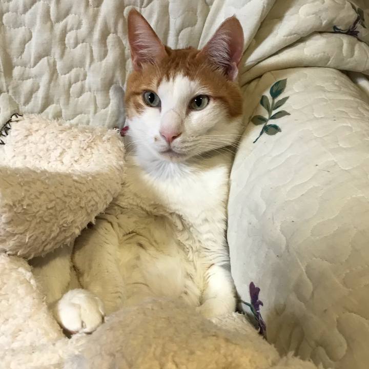 94bd0c0c e8a1 4f60 b27a 7ea34275a9de 1610374291007