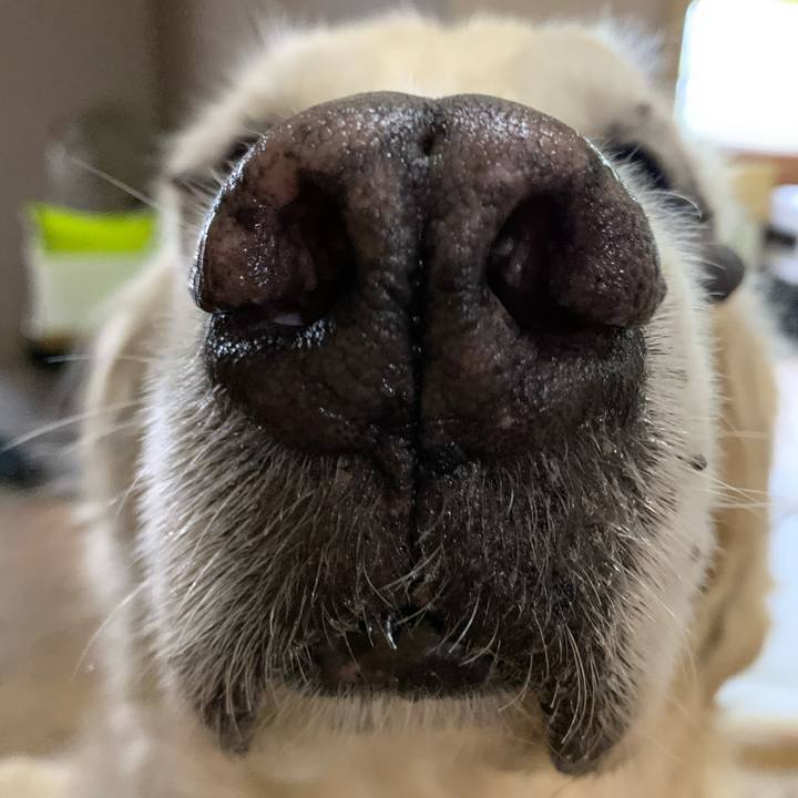 94bd526f 3377 4354 8c95 4426fd6a84da 1601080297191