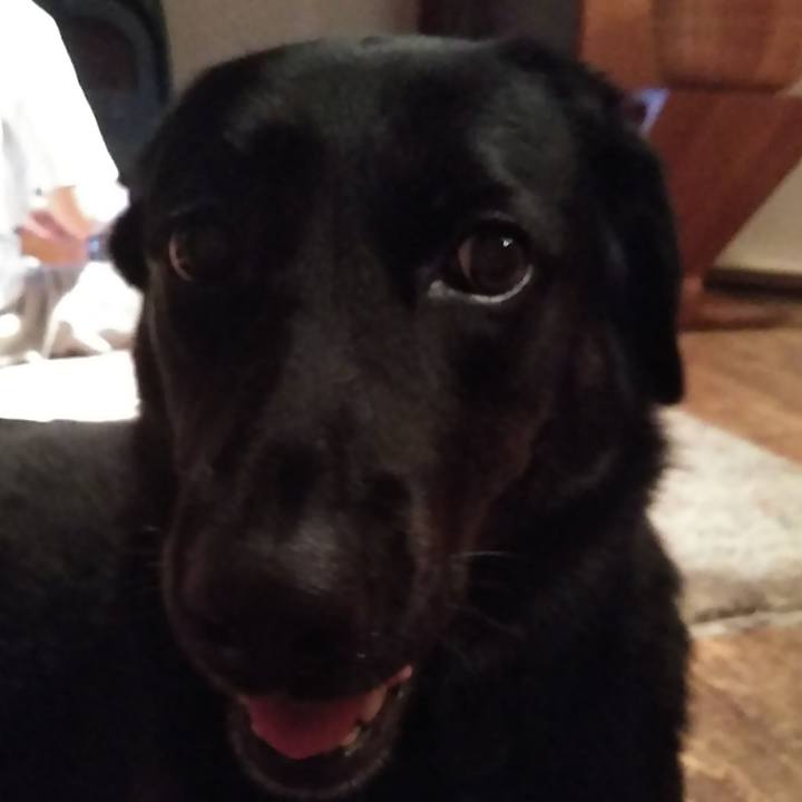 94bd7d2c 98e3 4592 af81 cd7116b7cc3a 1562154162462