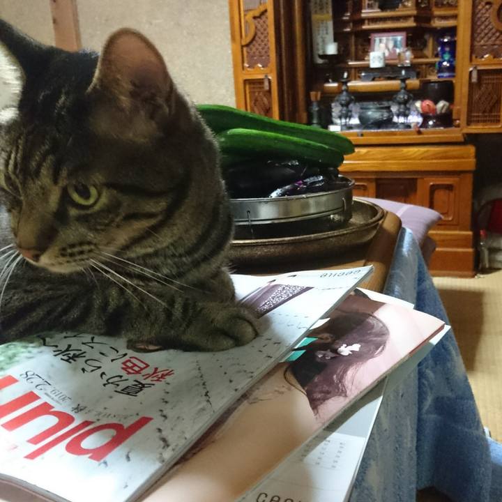 94bd9b9f e836 42a1 b8fc 1b61c687f48c 1535971198060