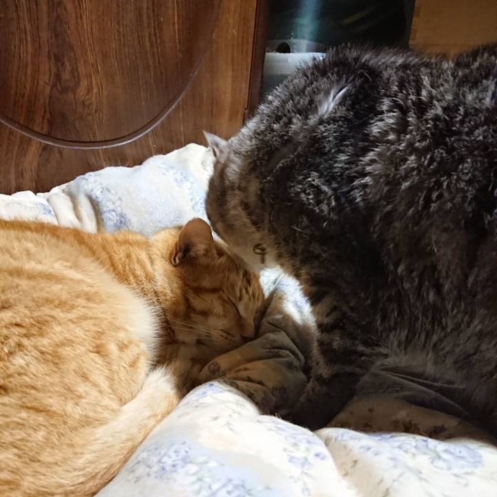 94bdb39f 7b31 47b4 a769 aaaef691720c 1583410764987