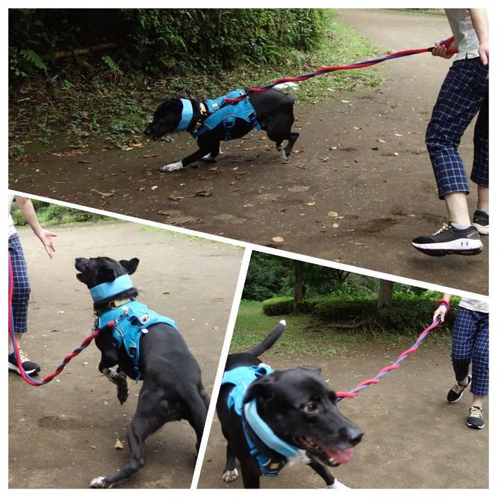 94bdc618 138d 4440 a70b ee924eb54d9b 1627517738087