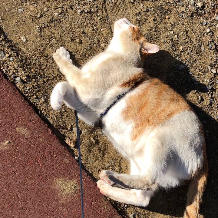 94bdfdf7 1642 439e a150 65a4359ead7f 1547700171160