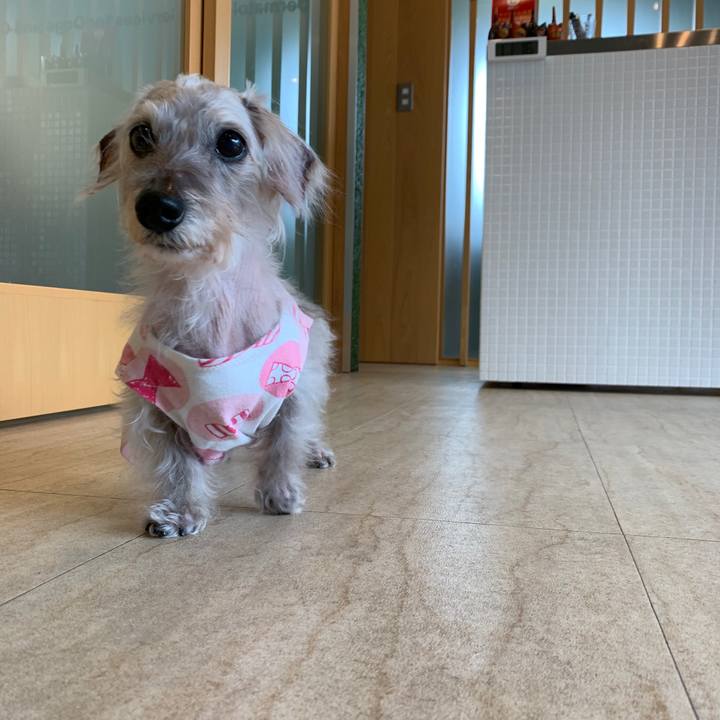 94be1312 88f3 4dbc 9afa 4f073ad14e89 1581938644754