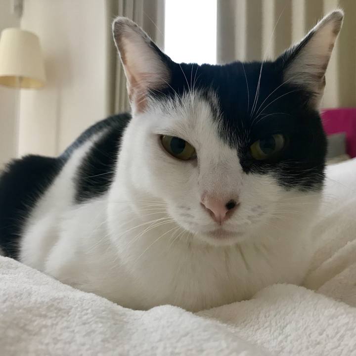 94be5604 5755 40b5 b6e1 1cc448164d2a 1509924688873