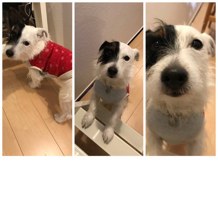 94be74b8 6425 4e73 b033 4e56a233574c 1514380197234