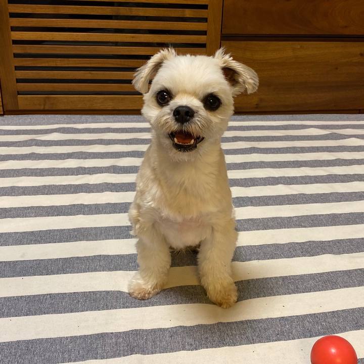 94be7838 eff8 48ac a337 821157c5ab7d 1571662143098