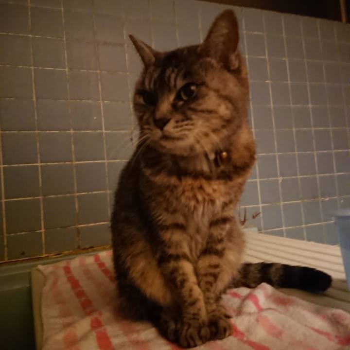 94be9266 76ce 4500 8fc1 29b68251c46d 1579338777360