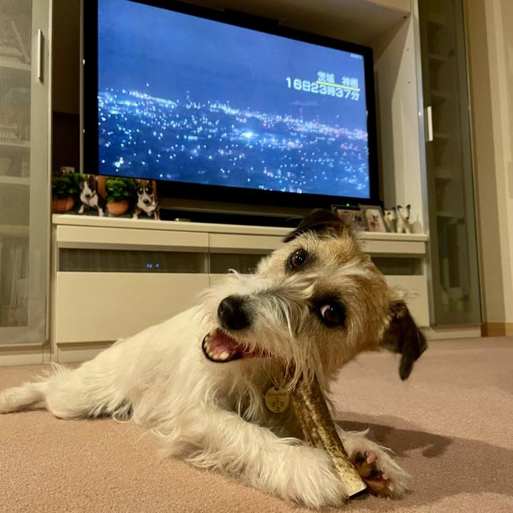 94beae3f 3b96 45a3 ab07 6e39fbc7b9aa 1647518725386