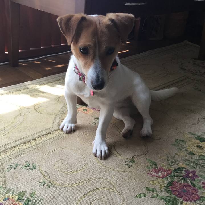 94beb0aa 1f65 4670 ae52 250df61cd90a 1526434173467