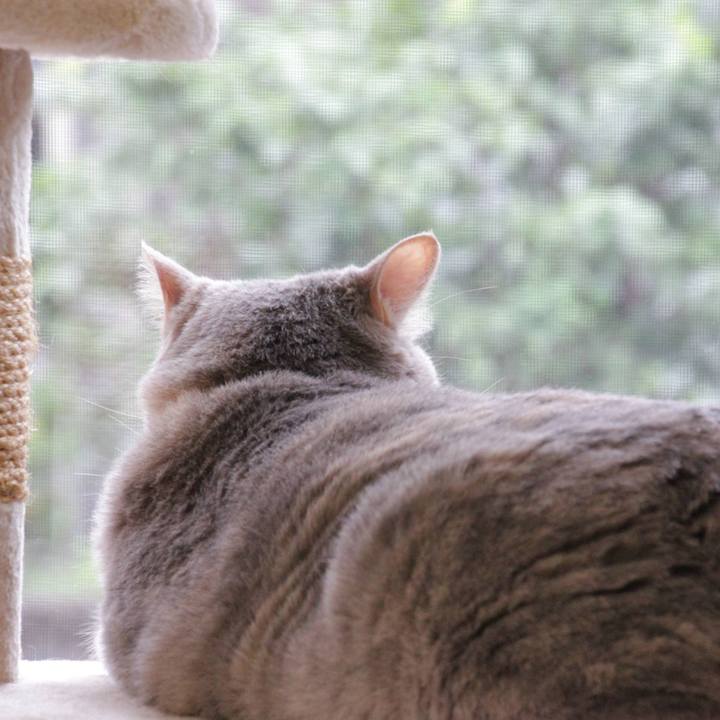 94beda3b ebb1 4dea 886e df536ff6b5bc 1625732885715