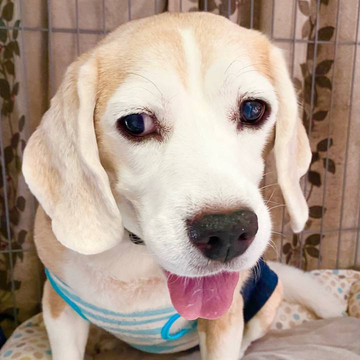 94bee4bf 27fd 45ae 98da 255b4a5df585 1662790415362