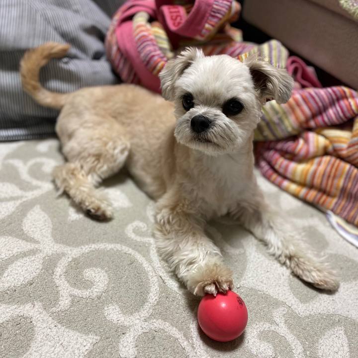 94beead4 11a2 4549 b5b2 c1ea96fabb89 1584358310873