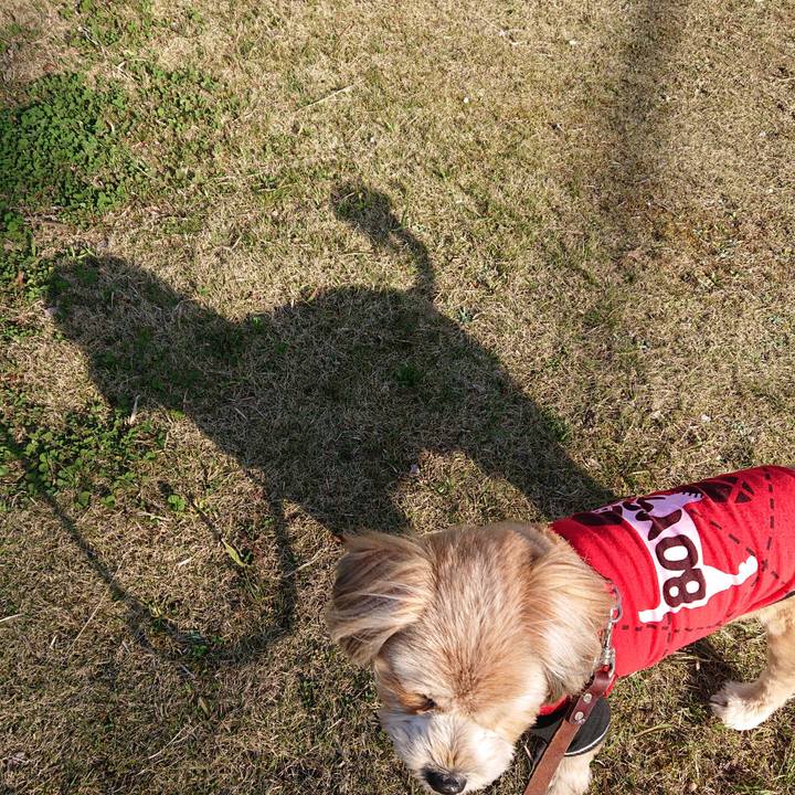 94befb1b 9990 4fcd be73 7fd1e29a5494 1616663963887