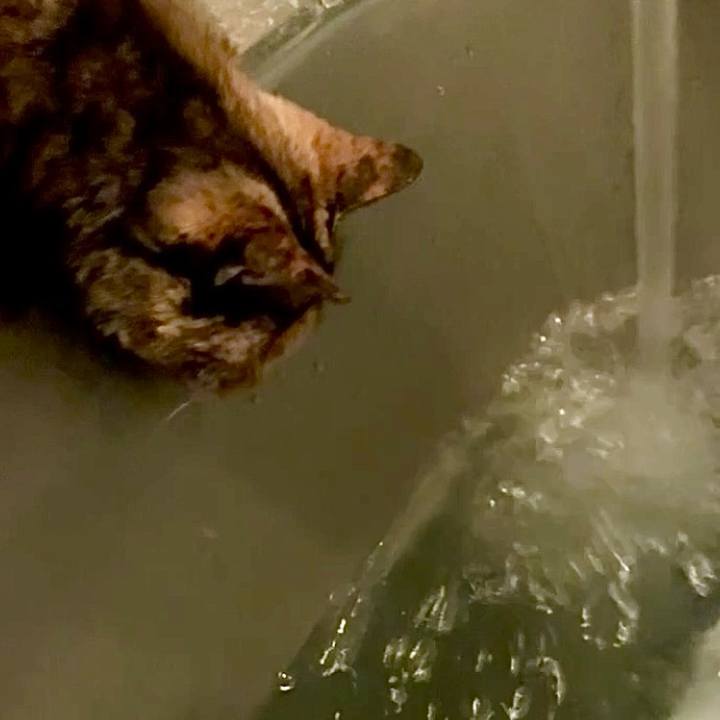 94bf28f6 ca5c 4b5a b8d8 c7f768aa5130 1751231360795