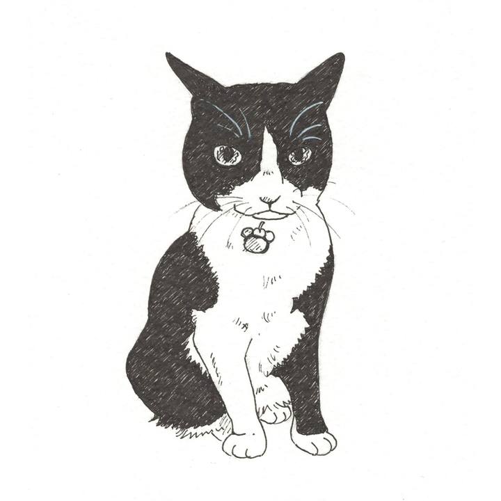 94bf3d3f 93dd 4ff5 86ff 120dbbd4b026 1560784674955