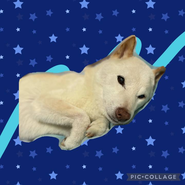 94bf71f1 8311 4f1f a38a 92e05b1eea3f 1657139734129