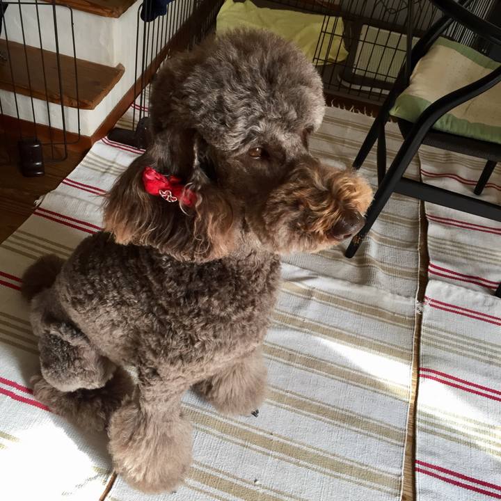 94bf7853 cb62 475a 8f5a cec512797e89 1517291266890