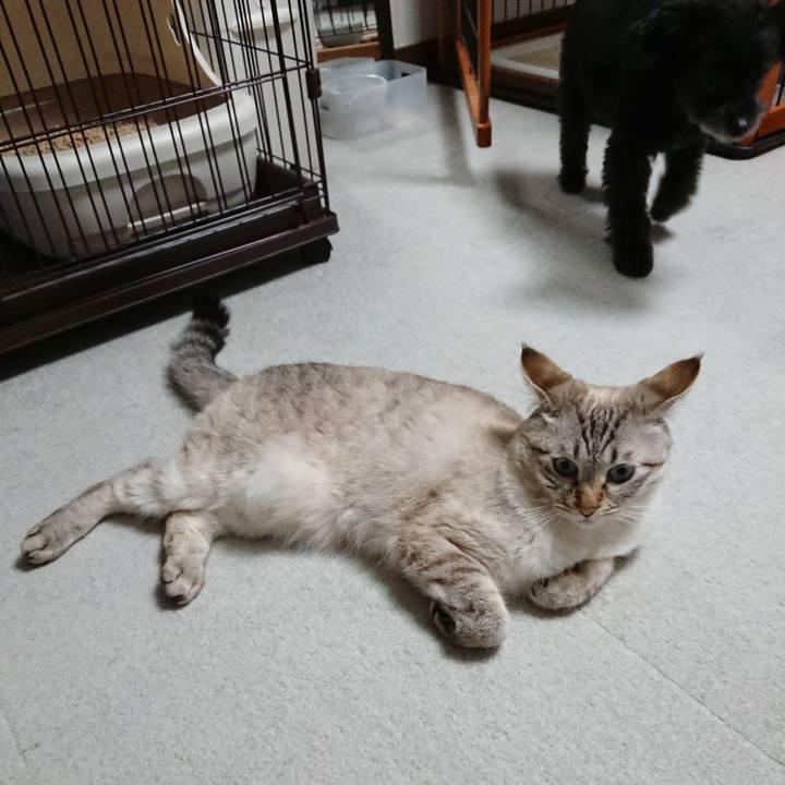 94bf79c7 01c5 46ec a3e0 23d33d28c57f 1602515271235