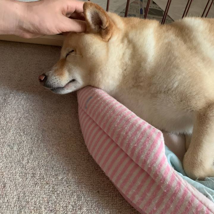 94c00540 0cb3 496a b0d4 d924dacf1c32 1627617614748