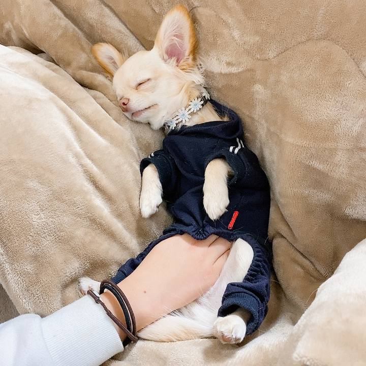 94c00a71 e043 4f2a afa3 cf83006130a5 1610364896956