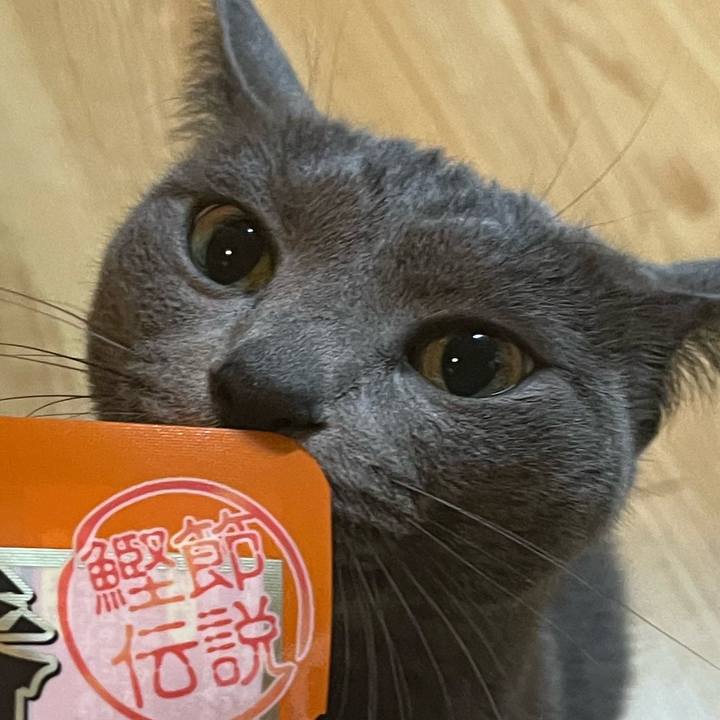 94c01d21 0e3e 415b 8d77 e8740ce57855 1645841045907