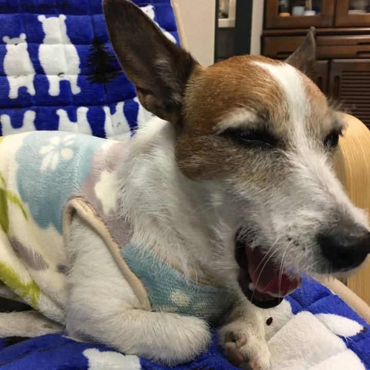 94c03914 545f 463e 8d86 ebb43b6c4696 1586562718416