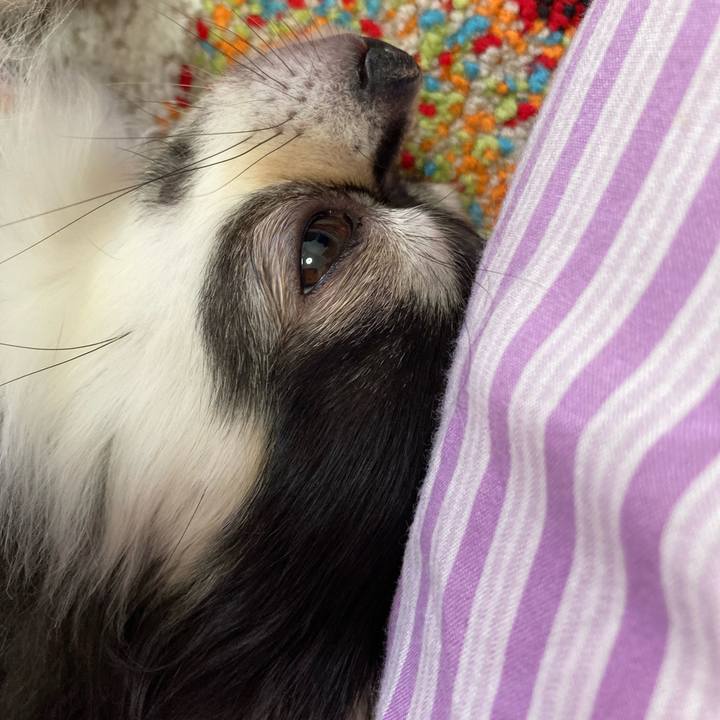 94c07148 ccfc 4981 8d81 b85754ee6741 1688913861447