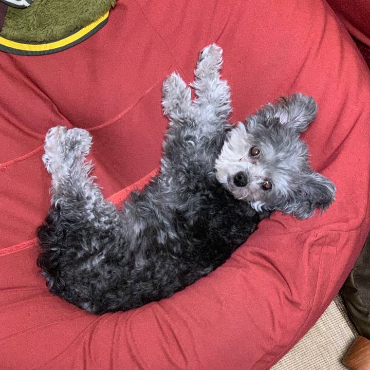 94c08421 539d 48e5 a147 db30cc83755d 1547982509003