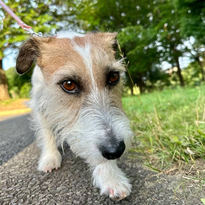 94c0a772 16a6 45b1 ac9a 8697b8f997b5 1687080584901