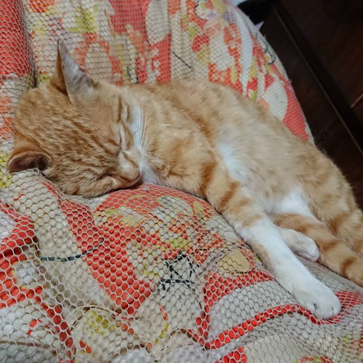 94c0ad5f 8b02 4bd1 b573 41fbf8a8138b 1557060712329