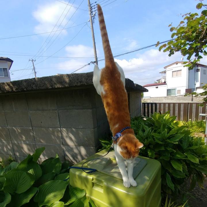 94c0b391 f73f 403e 951a 1ad9c1dc1434 1527809408377