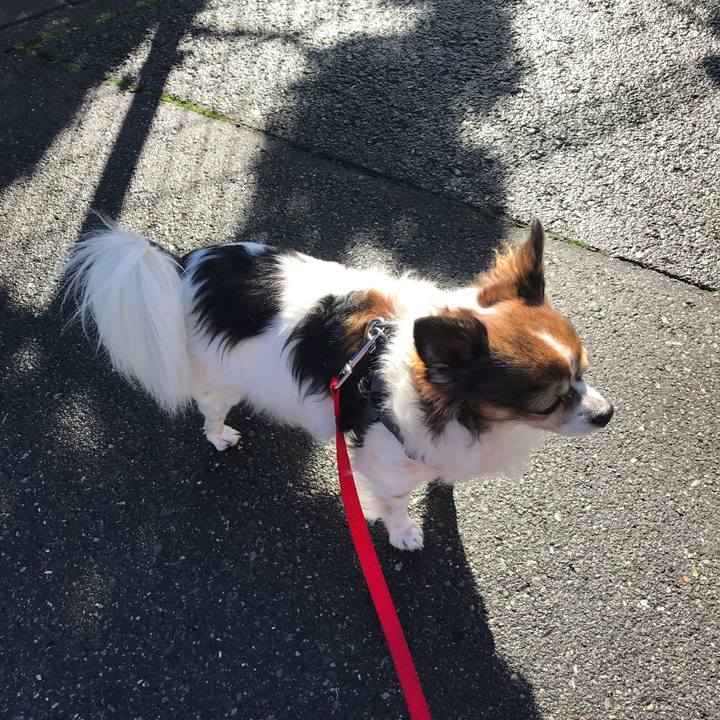 94c0bc89 62b1 45d1 ab54 c134018b84d6 1580263630238