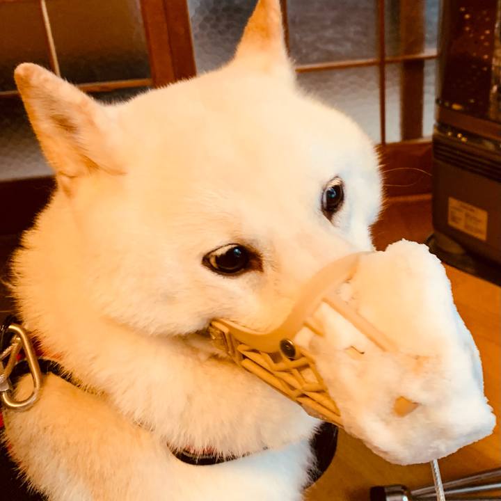 94c0c6d4 457b 469c 8868 1048064e7f65 1612479074254