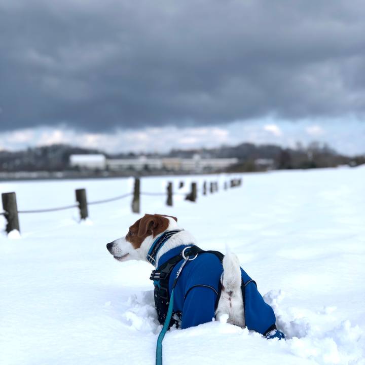 94c0de18 0dfc 4d78 92e4 f7f00f4ada1b 1645684549474