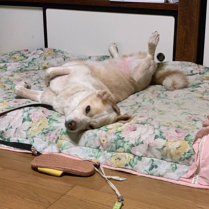 94c0e62b b9e1 45d4 801d c2e9a7d6f040 1562509860995