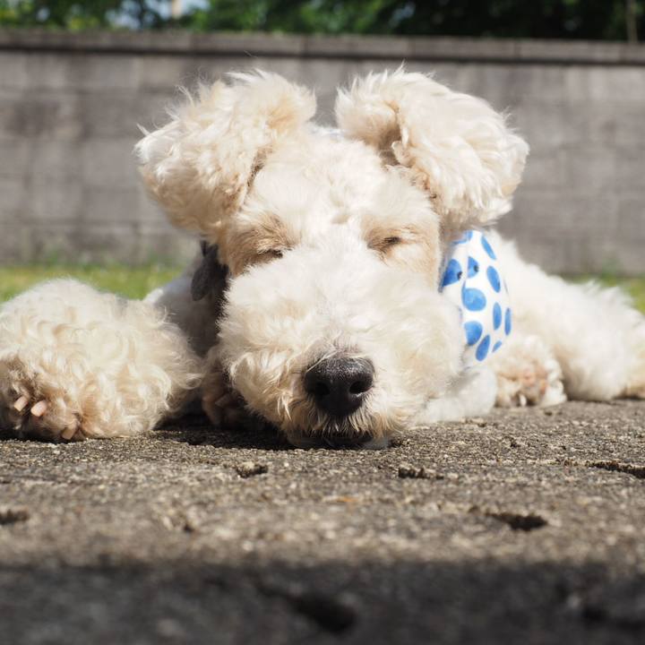 94c0f012 8d77 42be a7af c56615945c81 1557787892985