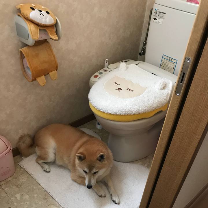 94c1140c 56f8 4ebd 9494 dbe500f745bf 1528168020943