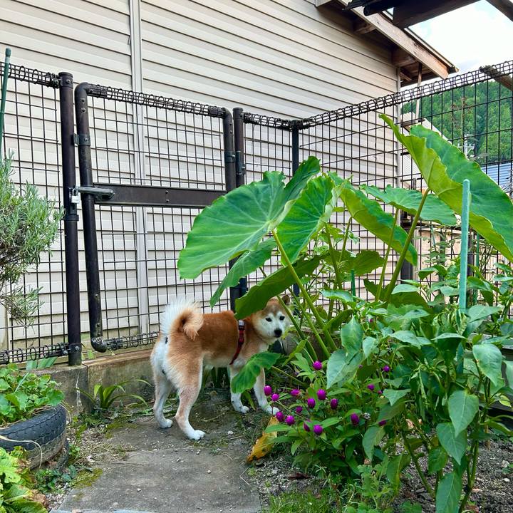 94c13482 4450 42cf 9bed 53bc3cd884cf 1721819819366