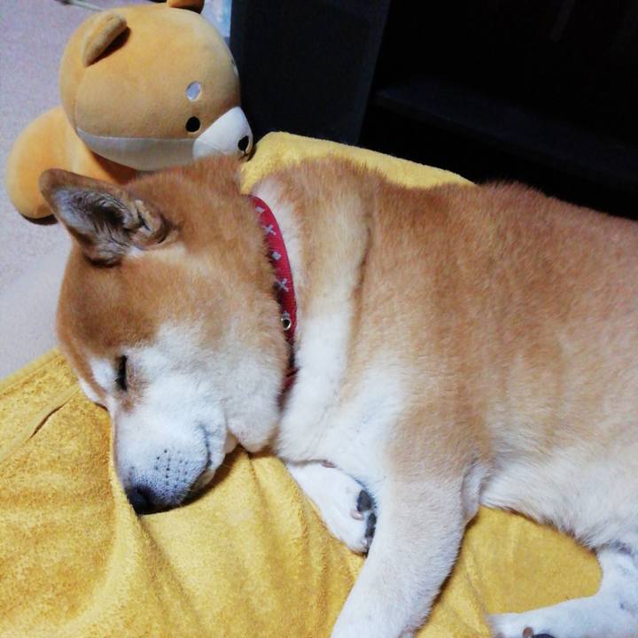 94c136df 253f 494e 9075 1961c54c874a 1668313528846