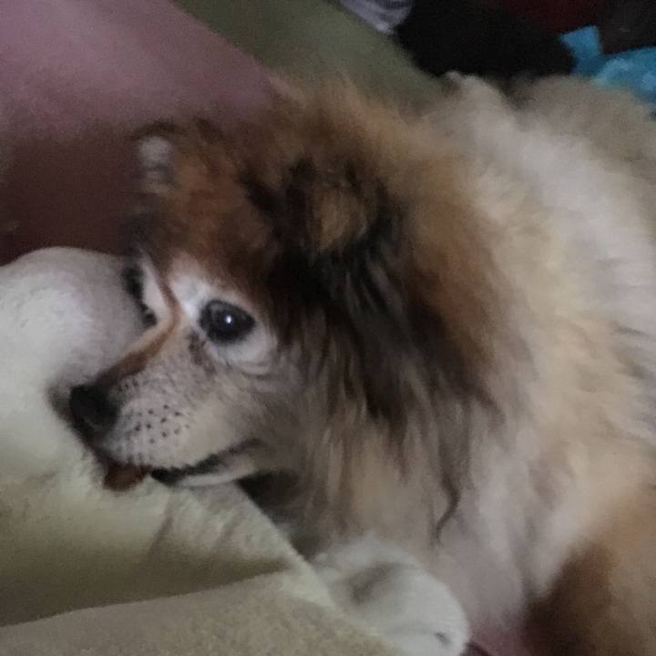 94c138ef e1ed 4193 a517 d45d35e8ded9 1556578045442