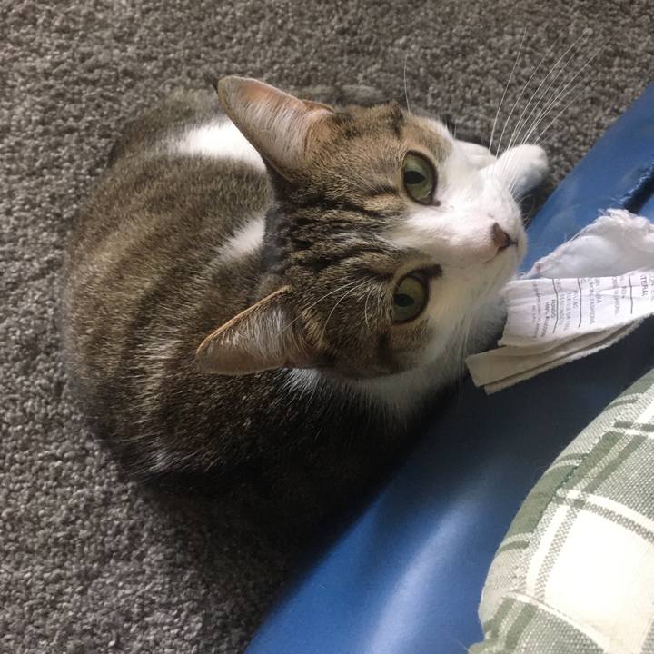 94c1815f b848 42d8 9945 ac87cb8892e7 1661989656363