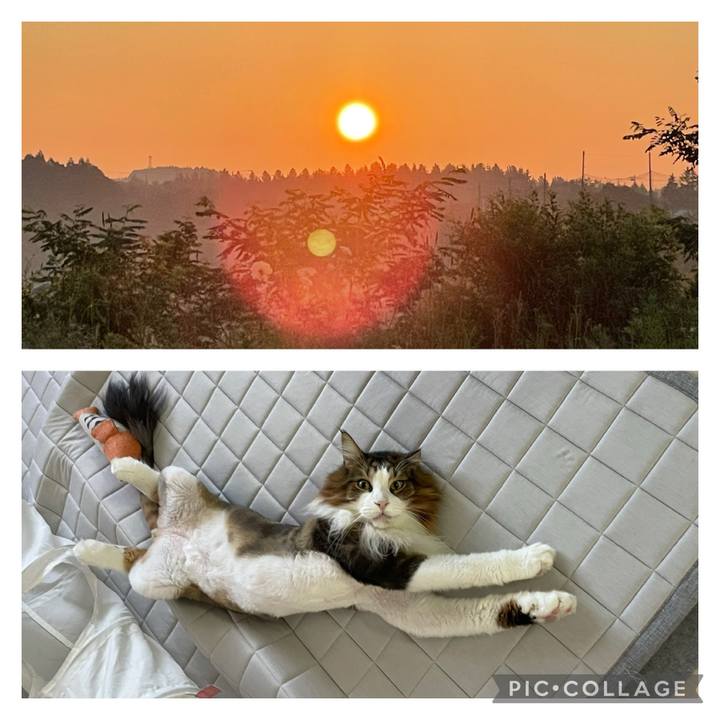 94c19086 781b 4695 ac3e d77101d2daba 1720901784133