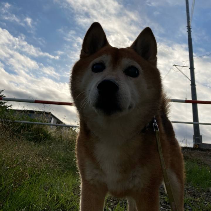 94c1a2da 8f6f 40c3 854e e181417be936 1700006910651