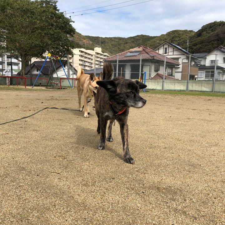 94c1a811 7d8b 41ce a771 f22e5aea0848 1580648242001