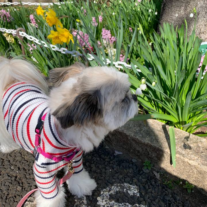 94c1b7c2 1b99 4f76 86e7 9dd2e889bdf6 1552878696213