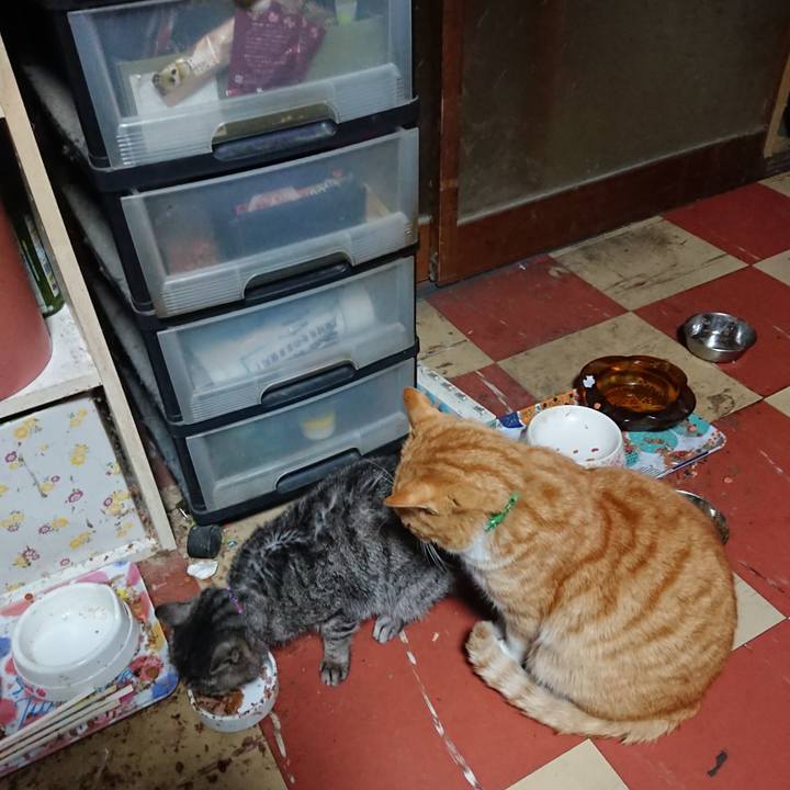 94c1ba73 78a3 4783 b53c 7f69a2c77842 1583870356118